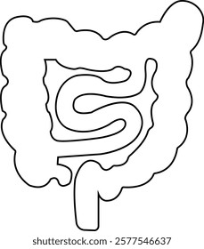 Human intestine line icon. Gastric organ, digestive intestine illustration sign. Human body related internal organ. Anatomical intestine symbol on isolated transparent background. Human anatomy.