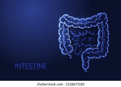 Human Intestine Low Poly Concept Vector Illustration.