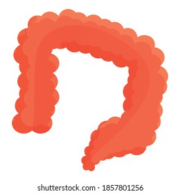 Human intestine organ icon. Cartoon of human intestine organ vector icon for web design isolated on white background