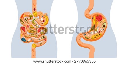 Human intestine and stomach with different healthy foods. Gut with diet eating- vegetables and fruit. Concept of microbiome and proper nutrition. Health of digestive system. Flat vector illustration