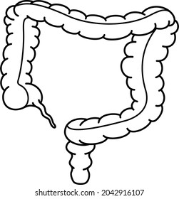 Human intestine. Vector outline illustration.