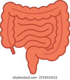 Ilustración vectorial de anatomía de los intestinos humanos