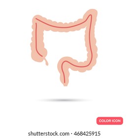Human intestines color flat icon