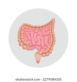Human intestines icon on flat style vector illustration