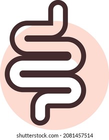 Intestinos humanos, ilustración, vector, sobre fondo blanco.