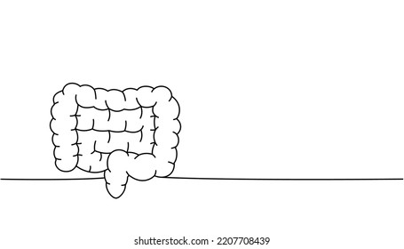 Human Intestines One Line Continuous Drawing Stock Vector (Royalty Free ...