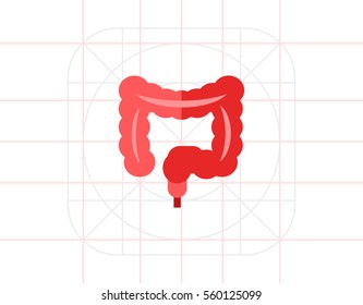 Human Intestines Vector Icon