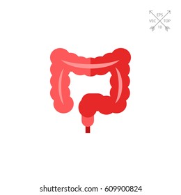 大腸 の画像 写真素材 ベクター画像 Shutterstock