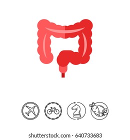 Human Intestines Vector Icon