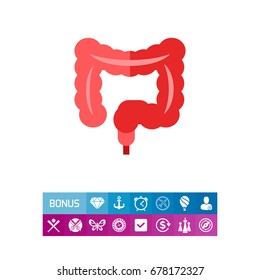 Human Intestines Vector Icon