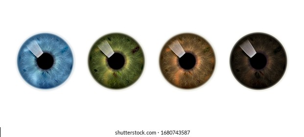 Human iris, set of brown, green and blue eyes. Vector icon.