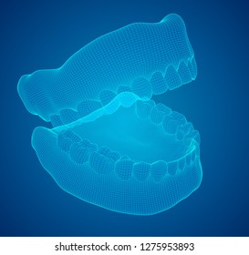 human jaw. 3d vector layout. medicine and health