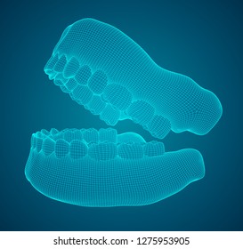 human jaw. 3d vector layout. medicine and health