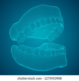 human jaw. 3d vector layout. medicine and health