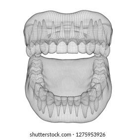 human jaw. 3d vector layout. medicine and health