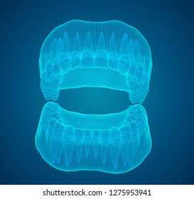 human jaw. 3d vector layout. medicine and health