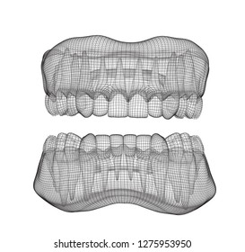 human jaw. 3d vector layout. medicine and health