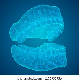 human jaw. 3d vector layout. medicine and health