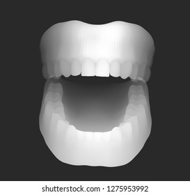 human jaw. 3d vector layout. medicine and health
