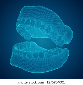 human jaw. 3d vector layout. medicine and health