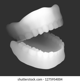 human jaw. 3d vector layout. medicine and health