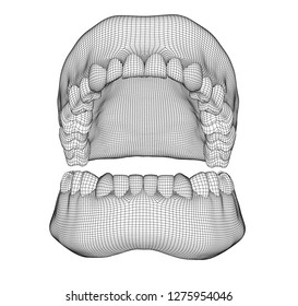 human jaw. 3d vector layout. medicine and health