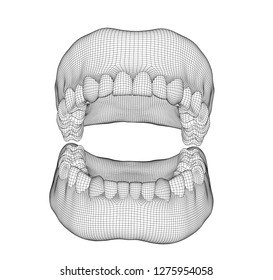 human jaw. 3d vector layout. medicine and health