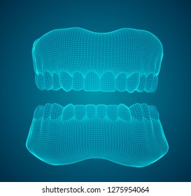 human jaw. 3d vector layout. medicine and health