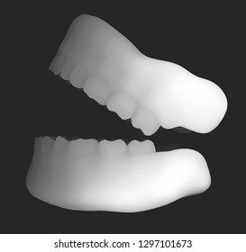 human jaw. 3d vector layout. medicine and health