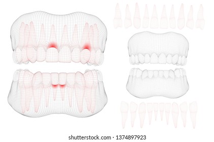 human jaw. 3d vector layout. medicine and health. pain teeth.