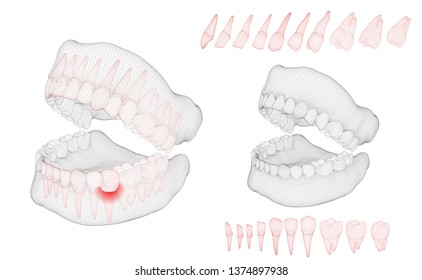 human jaw. 3d vector layout. medicine and health. pain teeth.