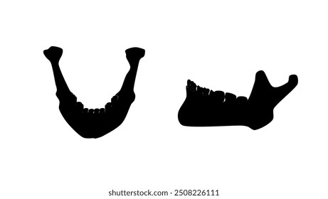 Mandíbula humana, silhueta isolada preta
