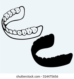 Human jaw. Isolated on blue background
