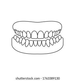 Human Jaw Outline Icon. Human Mouth, Human Teeth Vector Illustration.