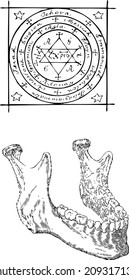 human jaw, jaw structure, human bone of the skull, Kabbalah, Kabbalah sign