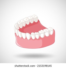 Human jaw with teeth illustration