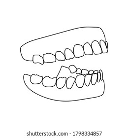 Human Jaw With Teeth, Human Mouth Model, Vector Outline Illustration For Design And Creativity