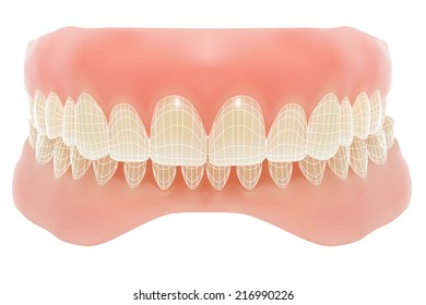 Human jaw. Vector illustration with visible mesh. Isolated on white 