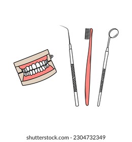 Human jaws model. Teeth instruments for oral hygiene. Line art. Dental health care concept. Hand drawn vector illustration.