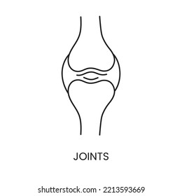 Icono de línea anatómica de articulación humana en vector, ilustración de estructuras superficiales.