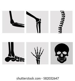 Human joints, knee, elbow, ankle, wrist hand . Medical orthopedic of set. Anatomy orthopedic illustration icon leg and bone skull spine