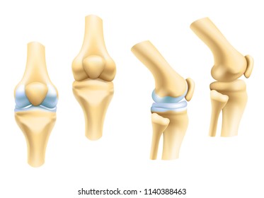 Human joints vector icons for orthopedics and surgery medical design. Vector isolated icons of leg knee or arm and hand joints with cartilage synovial fluid for orthopedics treatment medicine pills