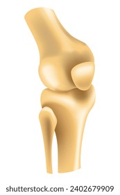 Human joints vector icons for orthopedics and surgery medical design. Vector isolated icon of leg knee or arm and hand joints with cartilage synovial fluid for orthopedics treatment medicine