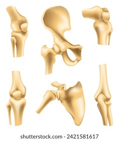 Human joints vector icons for orthopedics and surgery medical design. Vector isolated icons of leg knee or arm and hand joints with cartilage synovial fluid for orthopedics treatment medicine