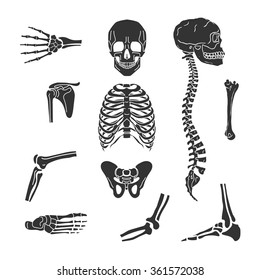 Human joints vector set. Orthopedic and spine symbols. Elbow and knee, wrist and rehabilitation, hand and backbone illustration. Isolated