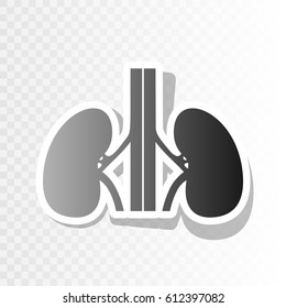 Human kiddneys sign. Vector. Blackish icon on transparent background with transition.