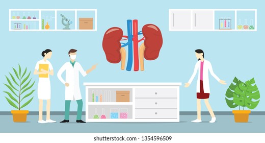human kidney anatomy science analysis health on laboratory with tools equipment - vector illustration