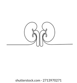 Desenho contínuo de uma linha do rim humano ilustração de vetor contorno minimalista
