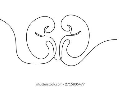 Human kidney continuous one line drawing and minimalist style isolated outline vector illustration
