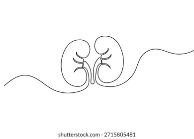 Human kidney continuous one line drawing and minimalist style isolated outline vector illustration